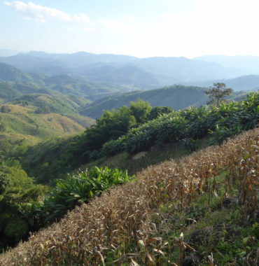 Lahu Hill Tribe Trek