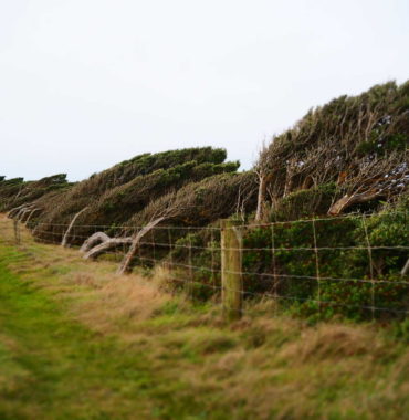 Southland & The Catlins