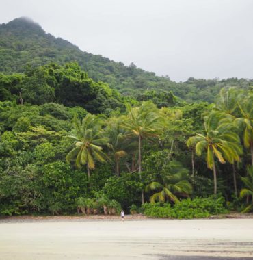 Daintree Rainforest