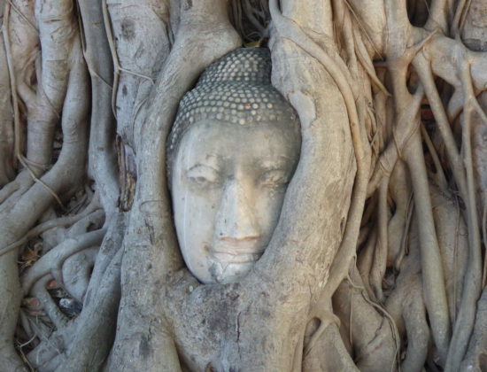 Ayutthaya