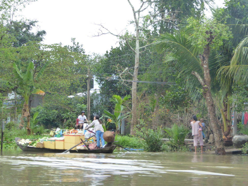 Mekong delta