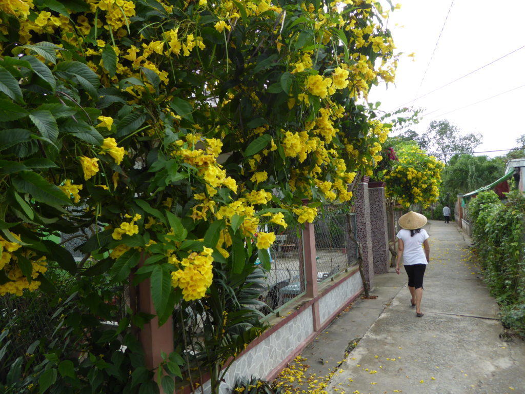 An Binh Island