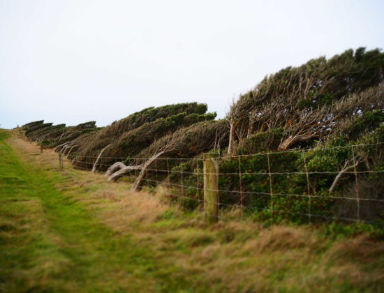 Southland & The Catlins